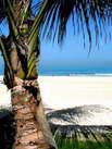La plage à Dubaï