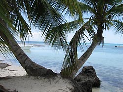 Guadeloupe