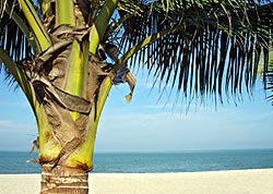 Thaïlande