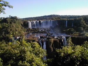 Argentine