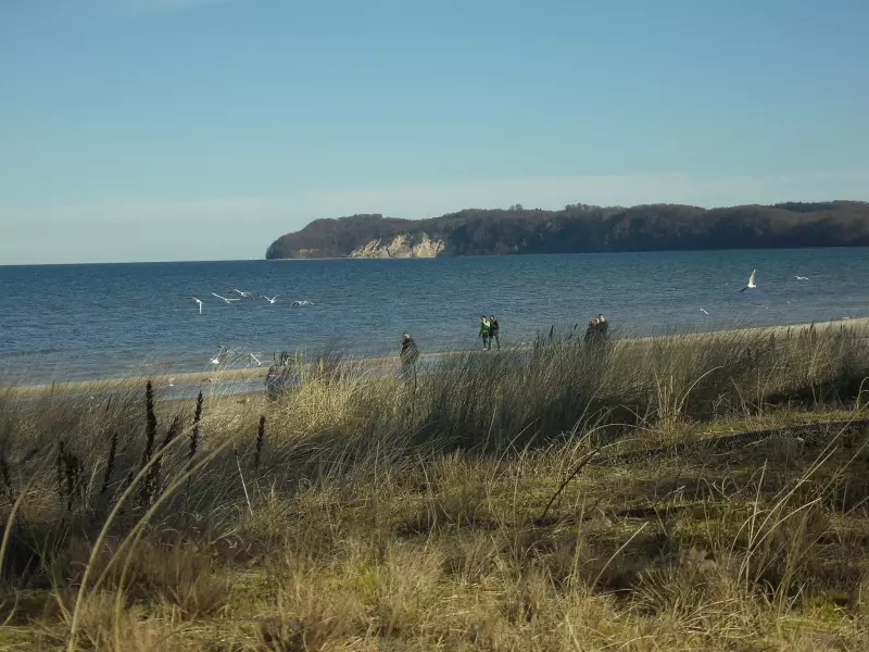Plage et dunes de la mer Baltique