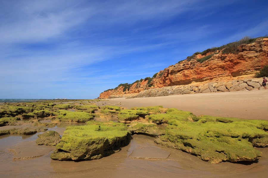 Plage européenne