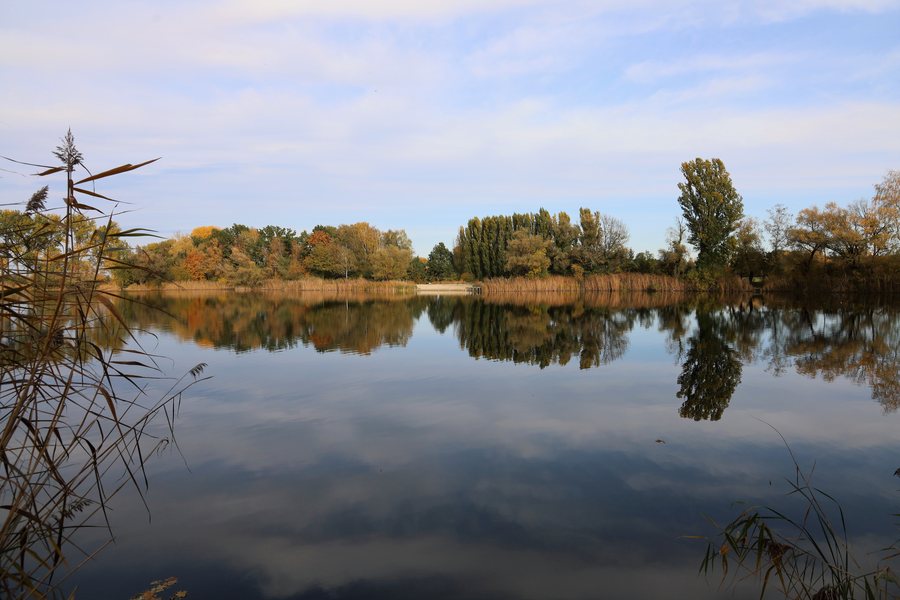 File:Wasserspiegelung im Tonsee Mittenwalde (Mark) 2020.jpg