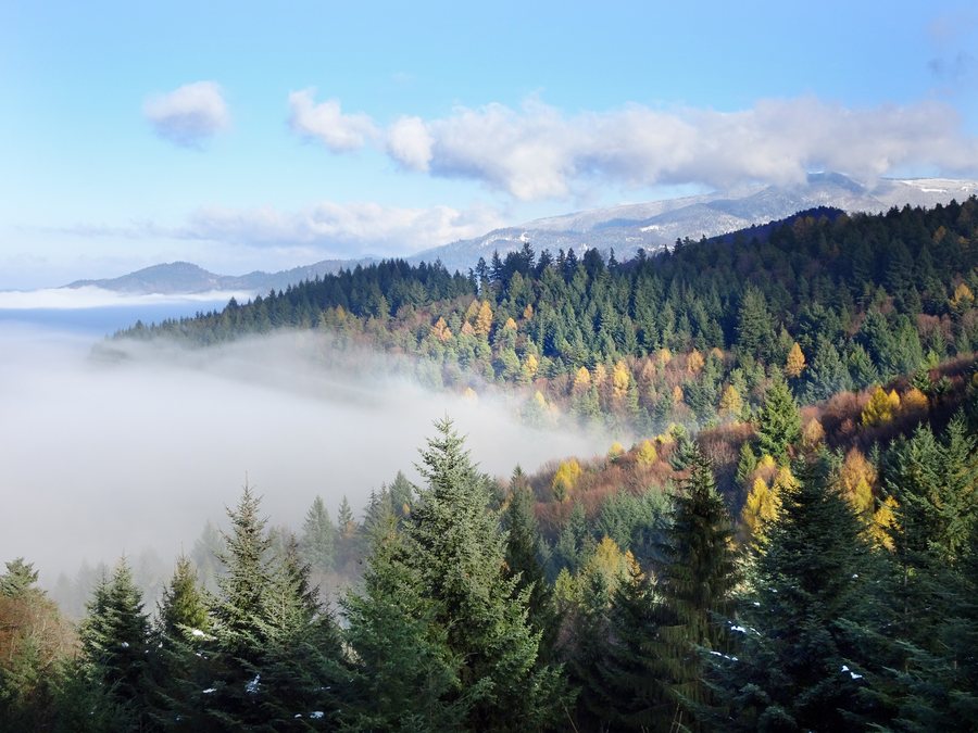 File:Landschaftsschutzgebiet Gundelfingen-Wildtal-Heuweiler.jpg