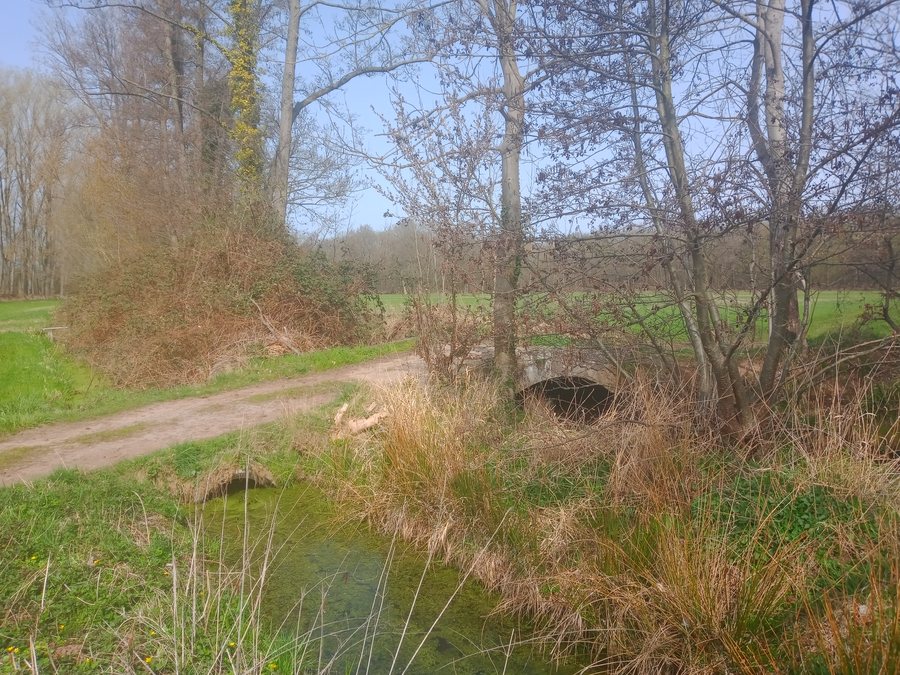 File:Spiegelbach, Brücke im Oberlauf (2).jpg