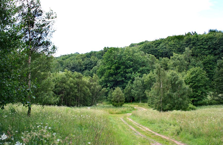 Paysage près de Pyšná, partie du village de Vysoká Pec, République tchèque