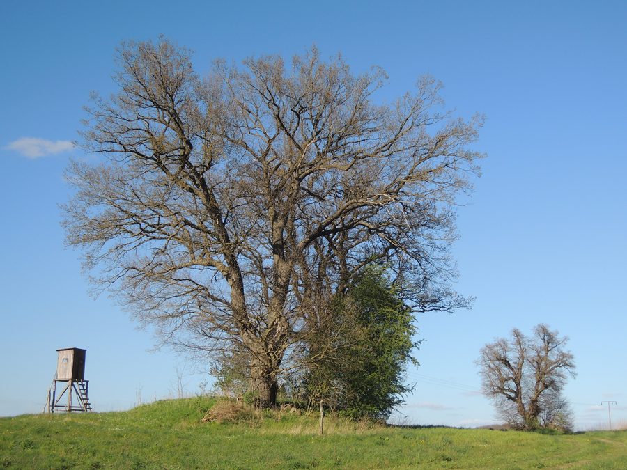 Le tombeau mégalithique de Schabow
