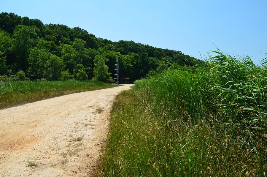 Vue dans le parc national des forêts alluviales d'İğneada à İğneada, province de Kırklareli