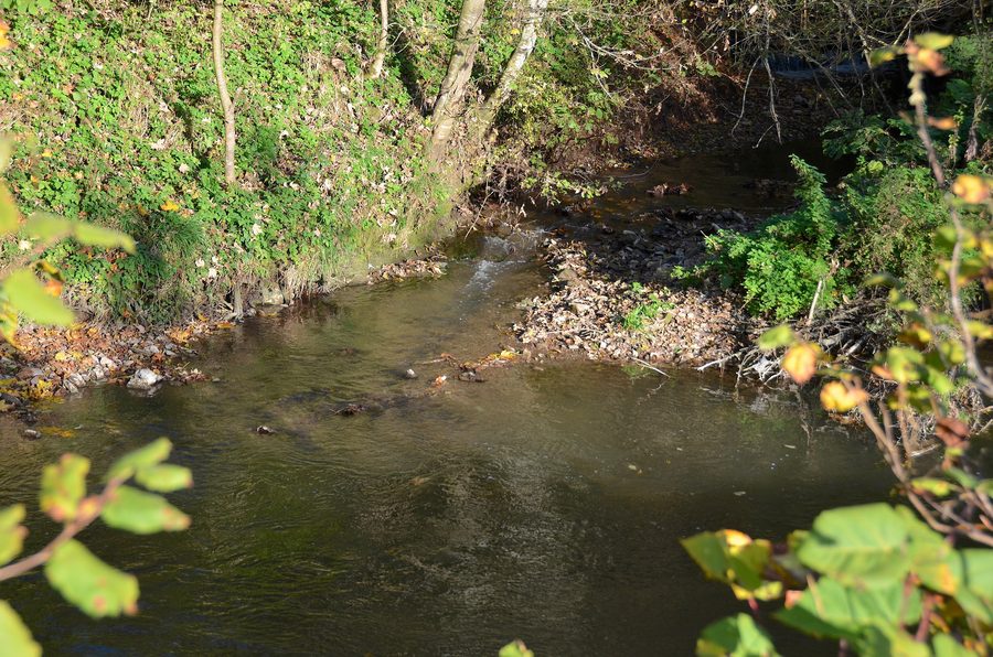 Confluence du Talbach avec l’Eyach près de Grosselfingen