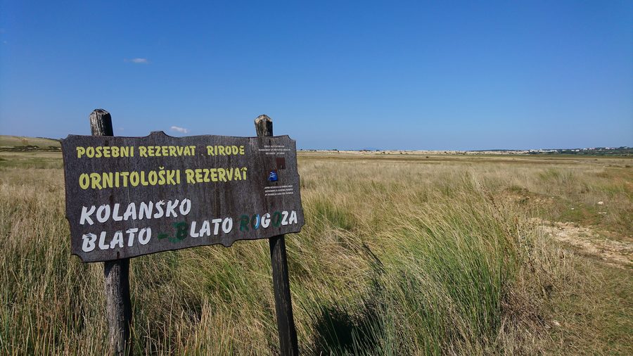 Réserve ornithologique de Kolansko Blato sur l’île de Pag