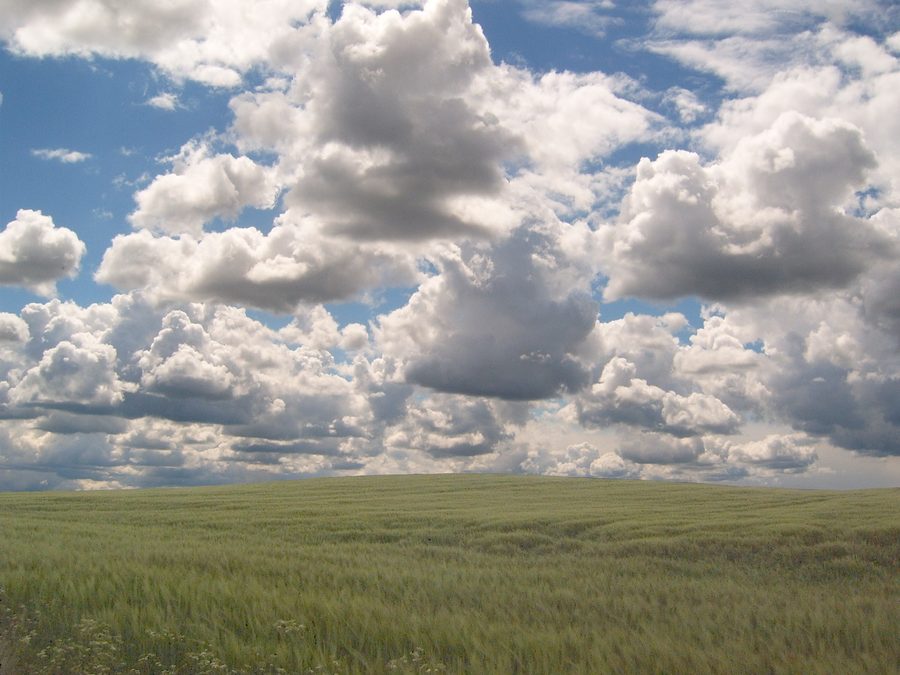 Paysage ouvert avec ciel et champs dans l'Uckermark