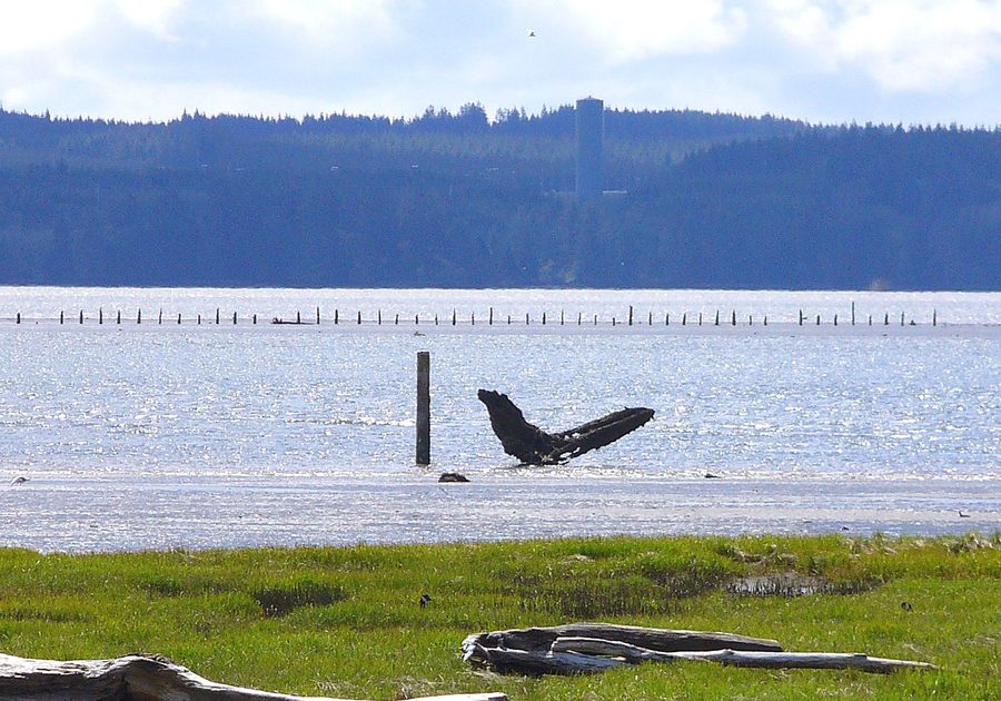 Grays Harbor vu depuis Hoquiam, Washington