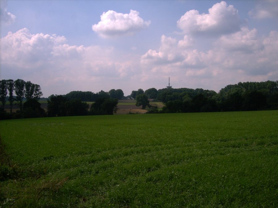 Paysage de la Geest d’Osterholz près de Wallhöfen dans la commune de Vollersode