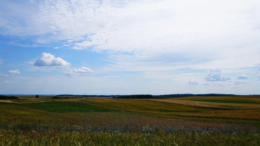 File:Okolice wsi Kleszczewo, pow. gdański - panoramio.jpg