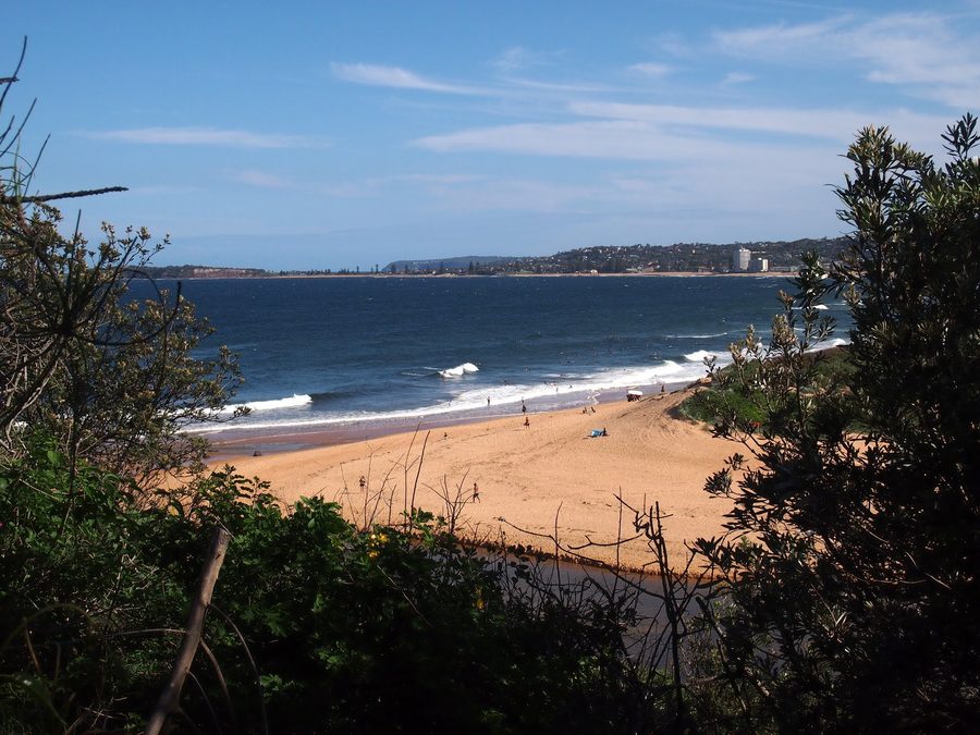 Lagune de Narrabeen avec eau et rive