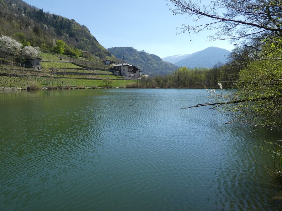 Lago di Madrano près de Pergine Valsugana dans le Trentin