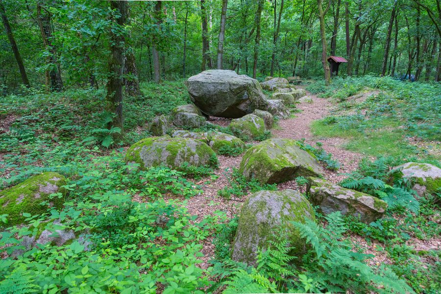 Tombe mégalithique dans la forêt d’Old Freren près de Freren en Basse-Saxe