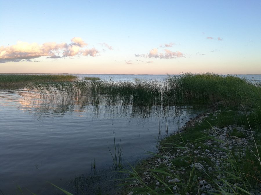 Vue depuis Vaibla sur le Võrtsjärv ouvert