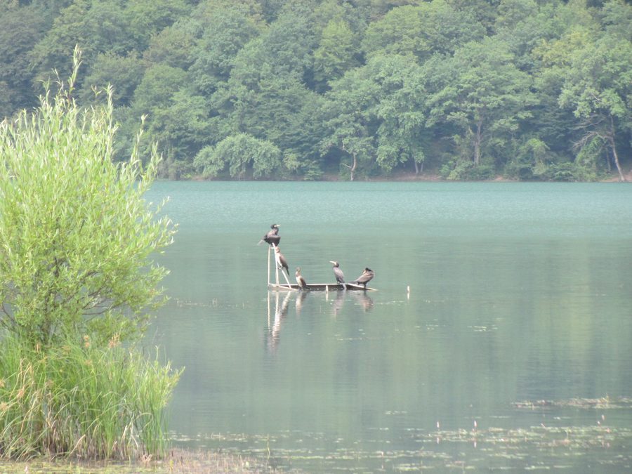 Lac Nohur près de Qabala
