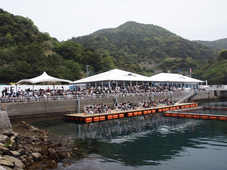 Tsukumi Dolphin Island à Tsukumi, Ōita, Japon