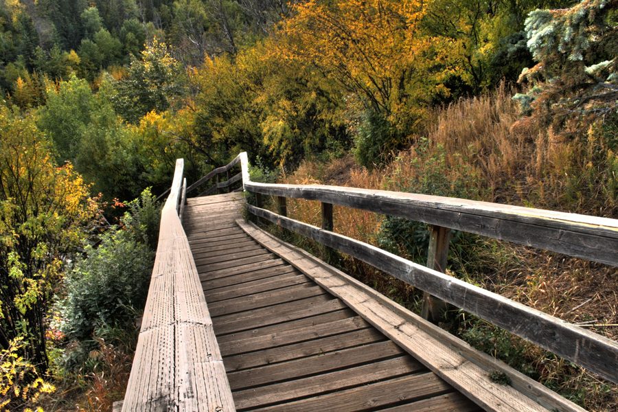 Escalier en bois descendant dans la vallée de la rivière Saskatchewan Nord à Edmonton.