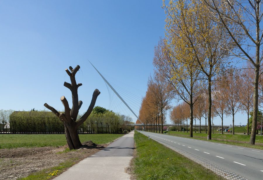 Pont Calatrava de Harp au-dessus de la Hoofdvaart à Nieuw-Vennep