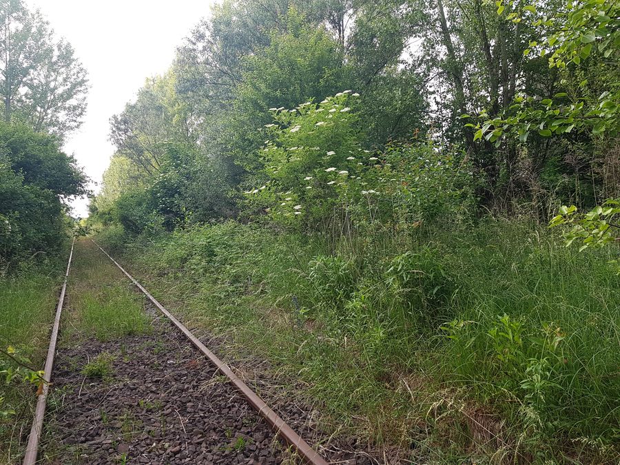 Terrain de l’ancienne gare de Syrynia en 2021