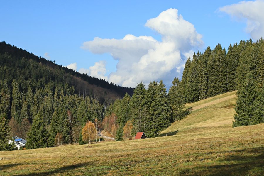 Vue depuis l’aire de repos sur le chemin de crête à Wildenthal sur le paysage de l’Erzgebirge