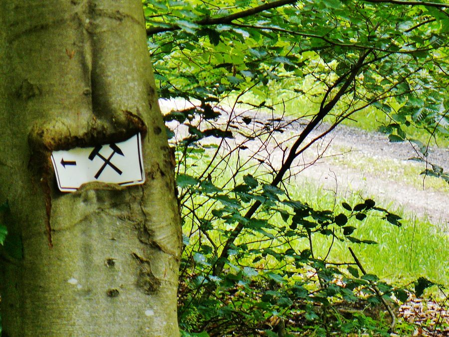 Chemin vers le musée minier Frischglück à Neuenbürg
