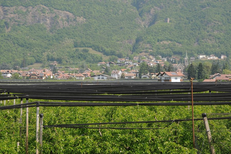 Gargazzone vu depuis la piste cyclable le long de l’Adige