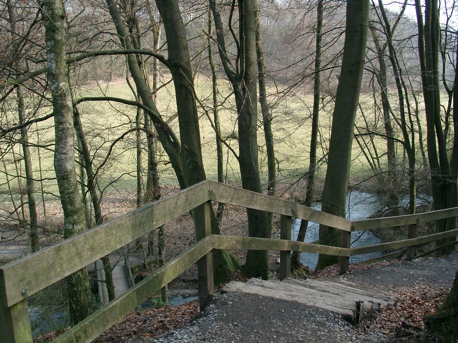Escalier d’un chemin le long de la Düssel dans le Neandertal près d’Erkrath et Mettmann