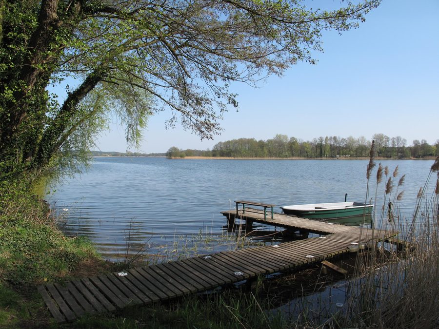 Vue sur le Grand lac de Seddiner See dans le Brandebourg