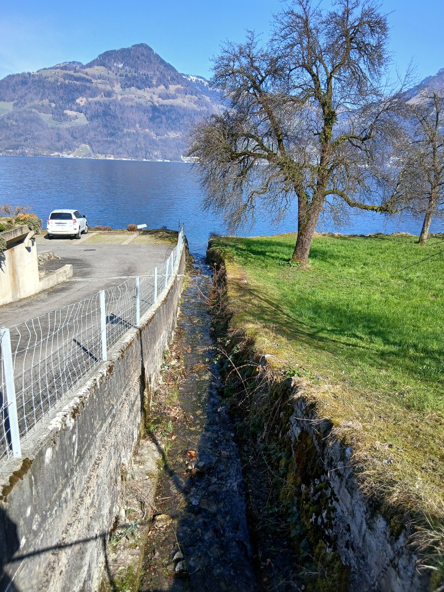 Embouchure du Mocklisbach dans le lac des Quatre-Cantons près de Beckenried