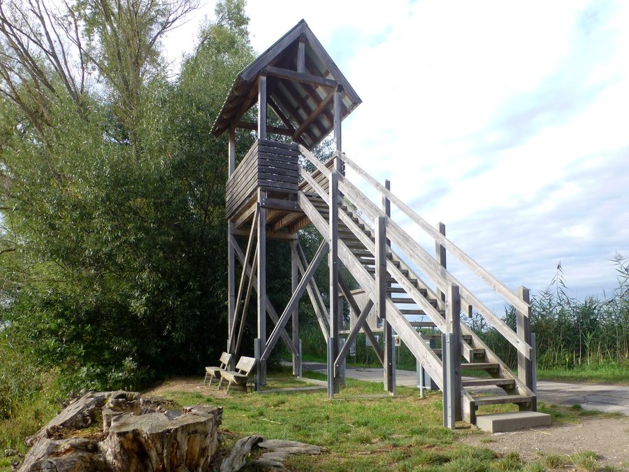 Tour d’observation sur la rive est de l’Altrheinsee au nord d’Eich en Hesse rhénane