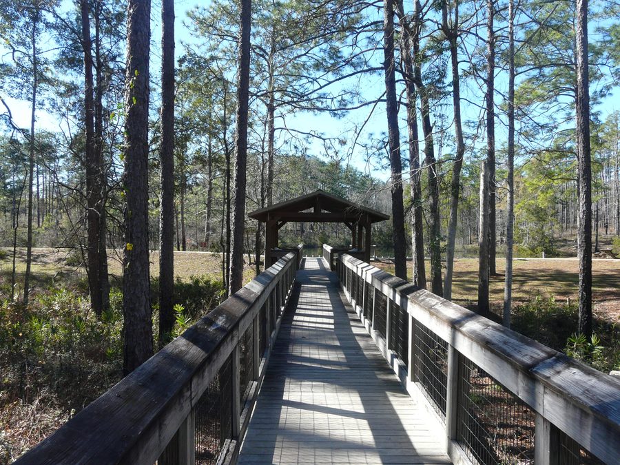 Pont-passerelle au-dessus d’un petit ravin au Falling Waters State Park
