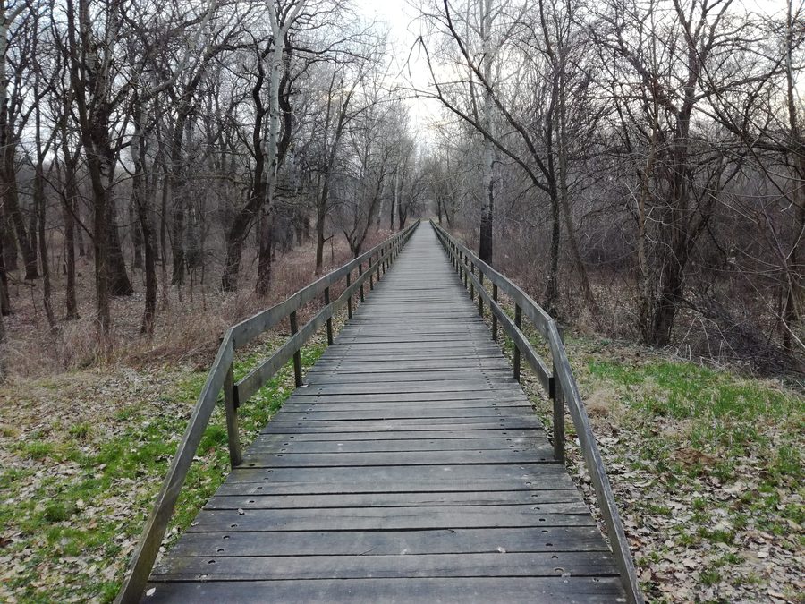 Pont en bois dans le parc Adica près de Vukovar, Croatie