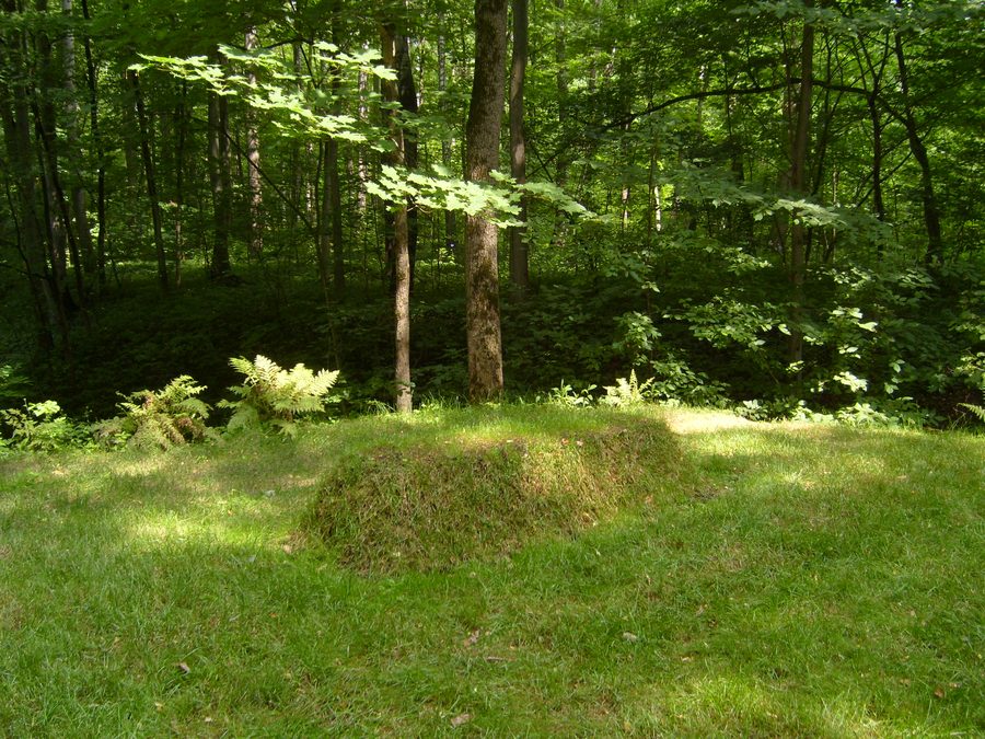 Tombe de Léon Tolstoï dans le parc de Iasnaïa Poliana