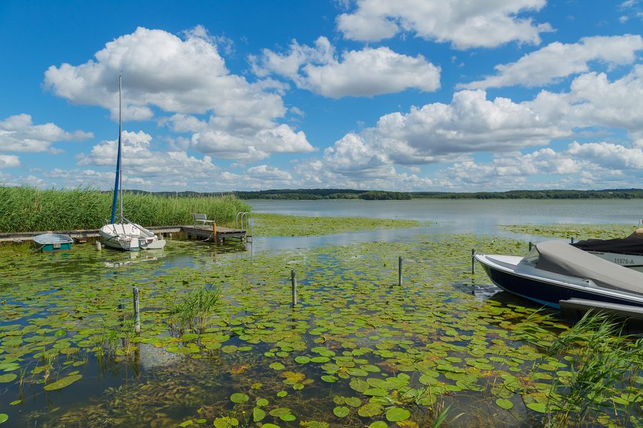Vue sur le lac Malchiner See près de Bülow dans l’arrondissement de Rostock