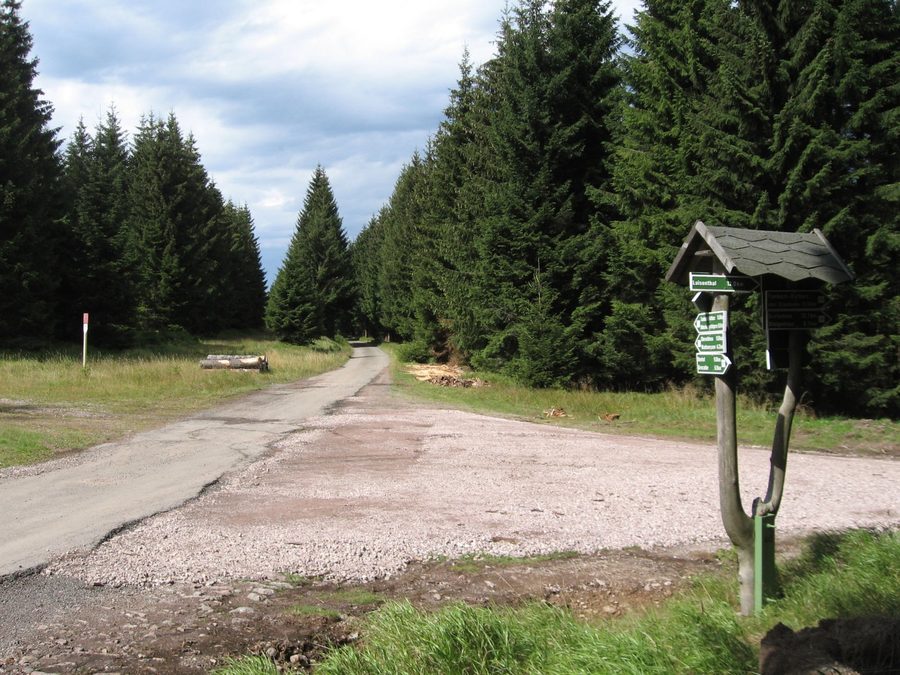 Piste cyclable sur le Rennsteig dans la forêt de Thuringe près d’Oberhof