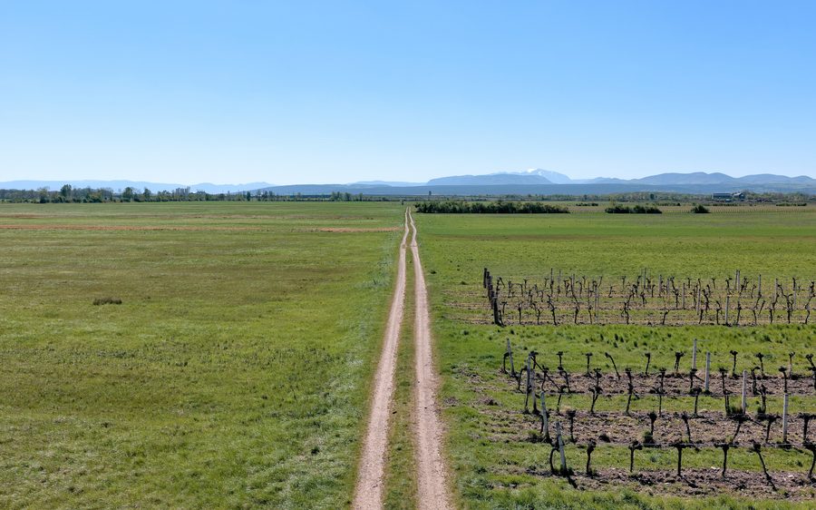 Chemin rural entre des prairies dans la commune de Günselsdorf en Basse-Autriche