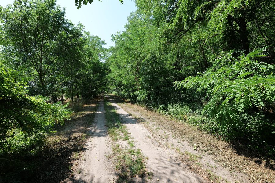 Paysage de l’Oderbruch avec pelouse sèche et les pentes du Reitweiner Sporn