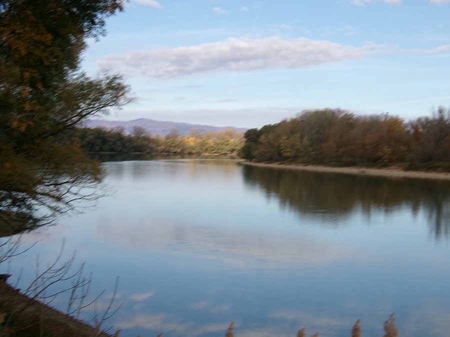 Vue sur le Danube au niveau de la Szentendrei-sziget près de Tahitótfalu