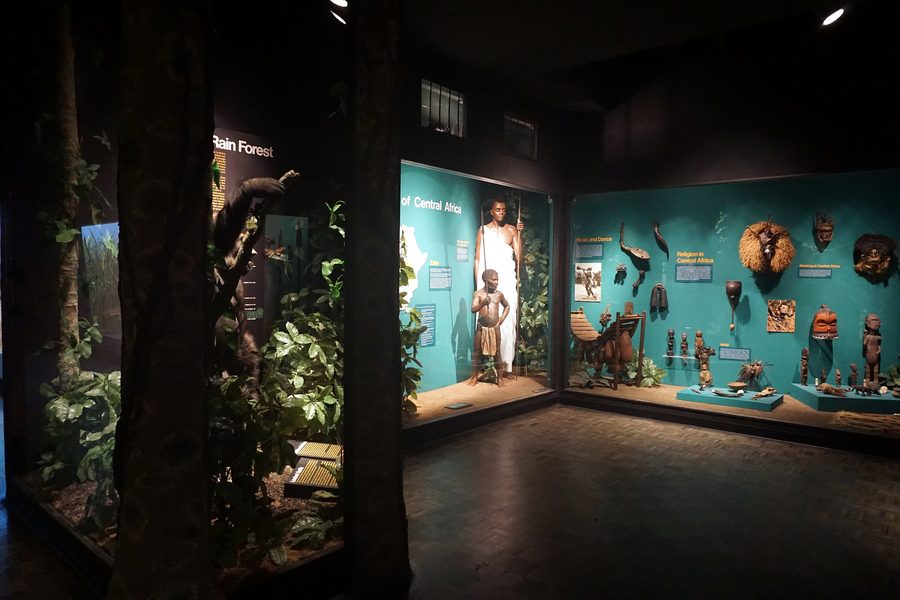 Vitrine d’exposition au Milwaukee Public Museum avec une section consacrée à l’Afrique centrale.