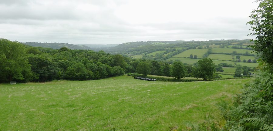 Paysage de la vallée de l'Aeron près de Llangeitho, Ceredigion