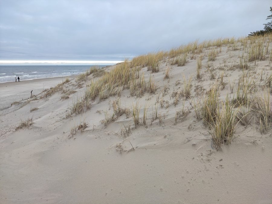Plage sur la Mierzeja Sarbska près de Łeba