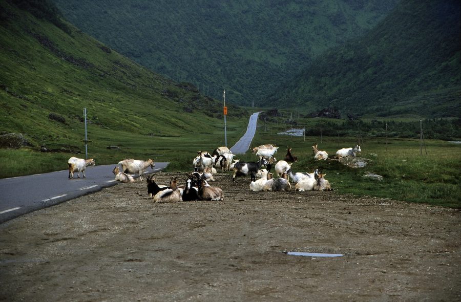 Paysage près de Myrkdalen sur le Myrkdalsvegen en Norvège