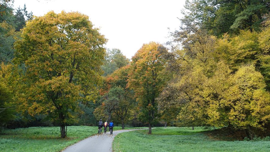Groupe de cyclistes dans la vallée du Goldersbach dans le parc naturel du Schönbuch en automne