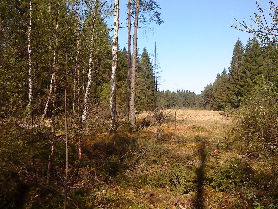 Réserve naturelle de Wiesbüttmoor entre Wiesen et Flörsbachtal en Hesse
