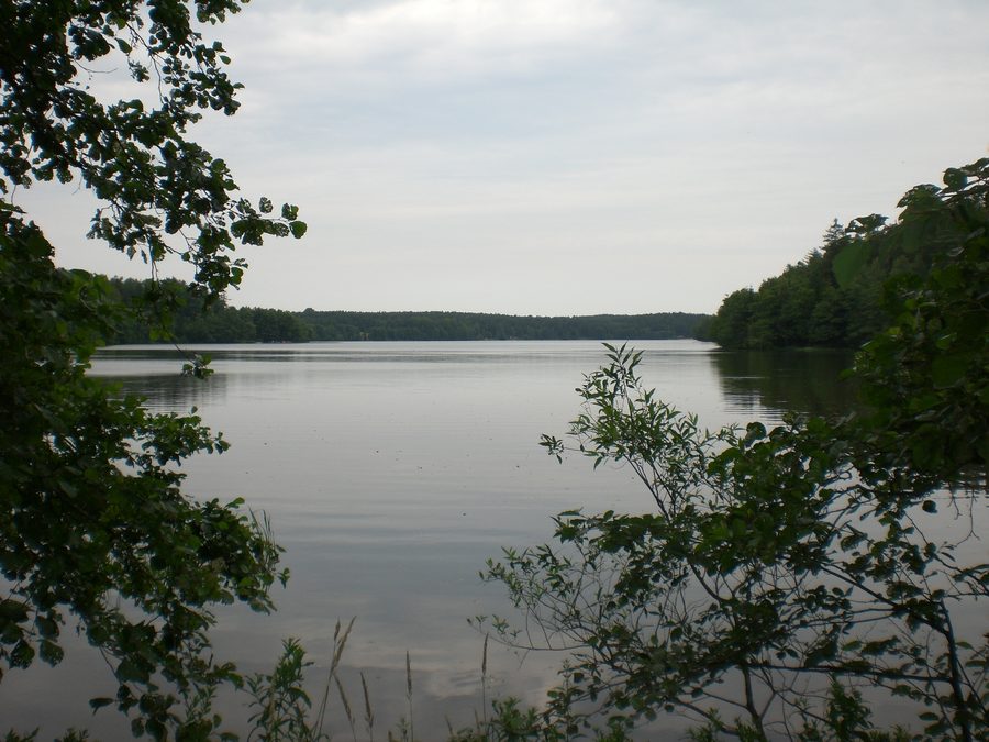 Lac Sianowskie dans la région des lacs cachoube