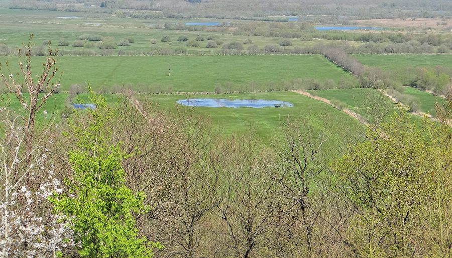 Vue sur la zone humide du Marais Vernier en Normandie